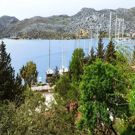 Lemon Garden Boutique