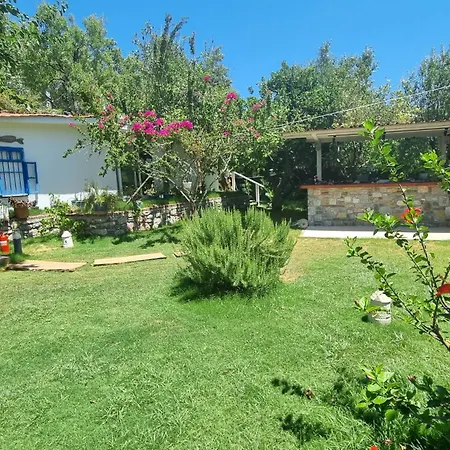 Lemon Garden Boutique מלון