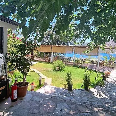 Lemon Garden Boutique 3*