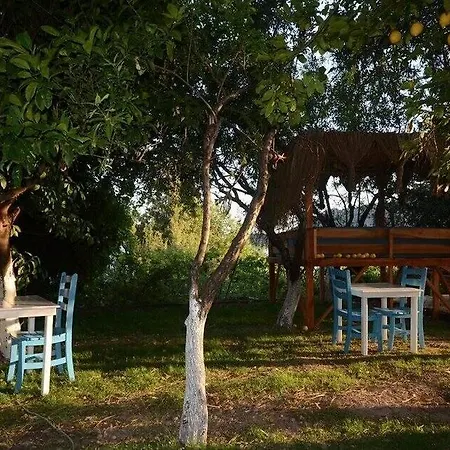 Lemon Garden Boutique 博兹布伦